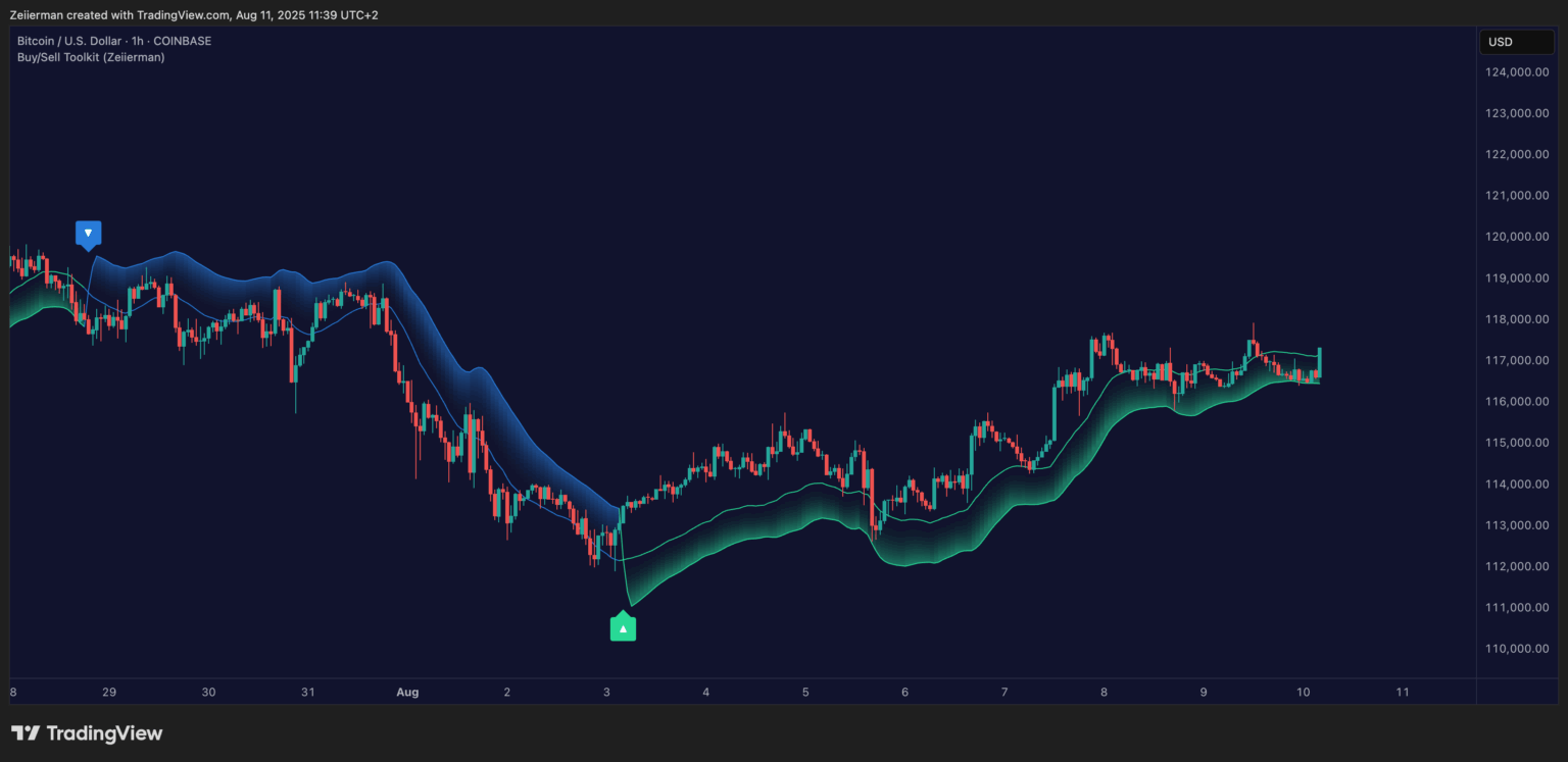 Bitcoin Chart TradingView