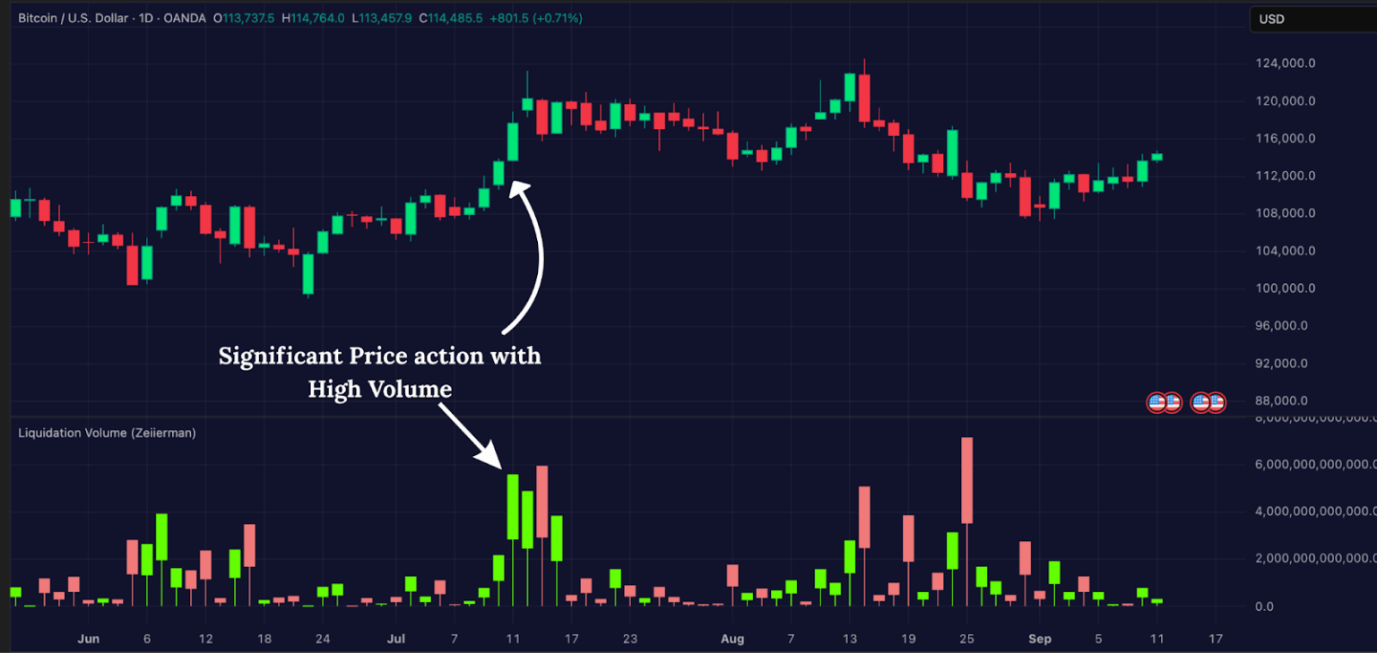 Liquidity Volume indicator on TradingView